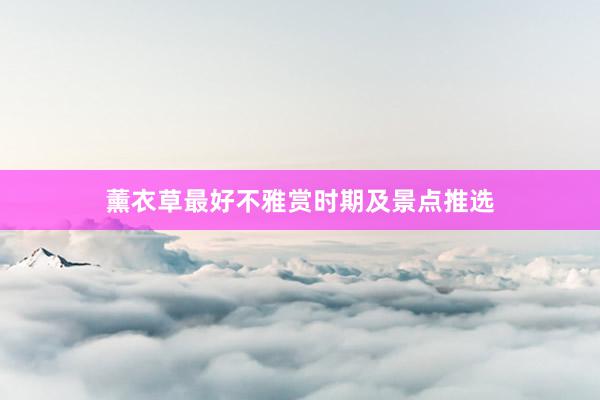薰衣草最好不雅赏时期及景点推选