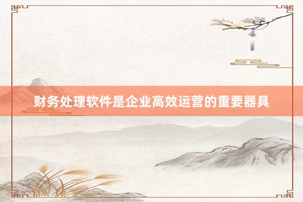 财务处理软件是企业高效运营的重要器具